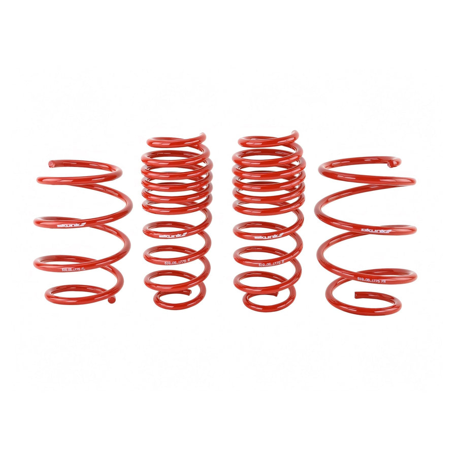 Skunk2 Lowering Springs (16-21 Civic Si/Sport)